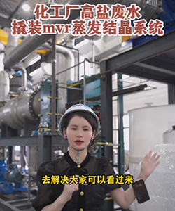 化工厂高盐废水撬装MVR蒸发结晶系统
