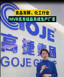 食品发酵/化工MVR蒸发结晶系统