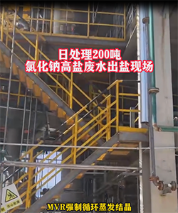 氯化钠高盐废水MVR强制循环蒸发结晶