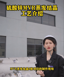 硫酸锌MVR蒸发结晶