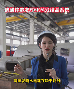 硫酸锌溶液mvr蒸发结晶系统