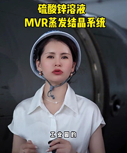 硫酸锌溶液MVR蒸发结晶系统
