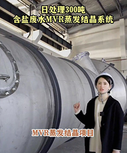 含盐废水MVR蒸发结晶系统