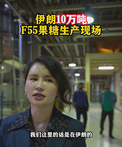 伊朗10万吨F55果糖生产现场