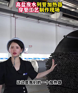 高盐废水列管加热器穿管工艺制作现场