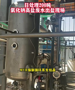 日处理100吨氯化钠高盐废水出盐现场