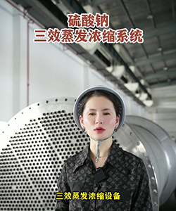 硫酸钠三效蒸发浓缩系统