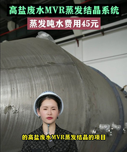 高盐废水MVR蒸发结晶系统