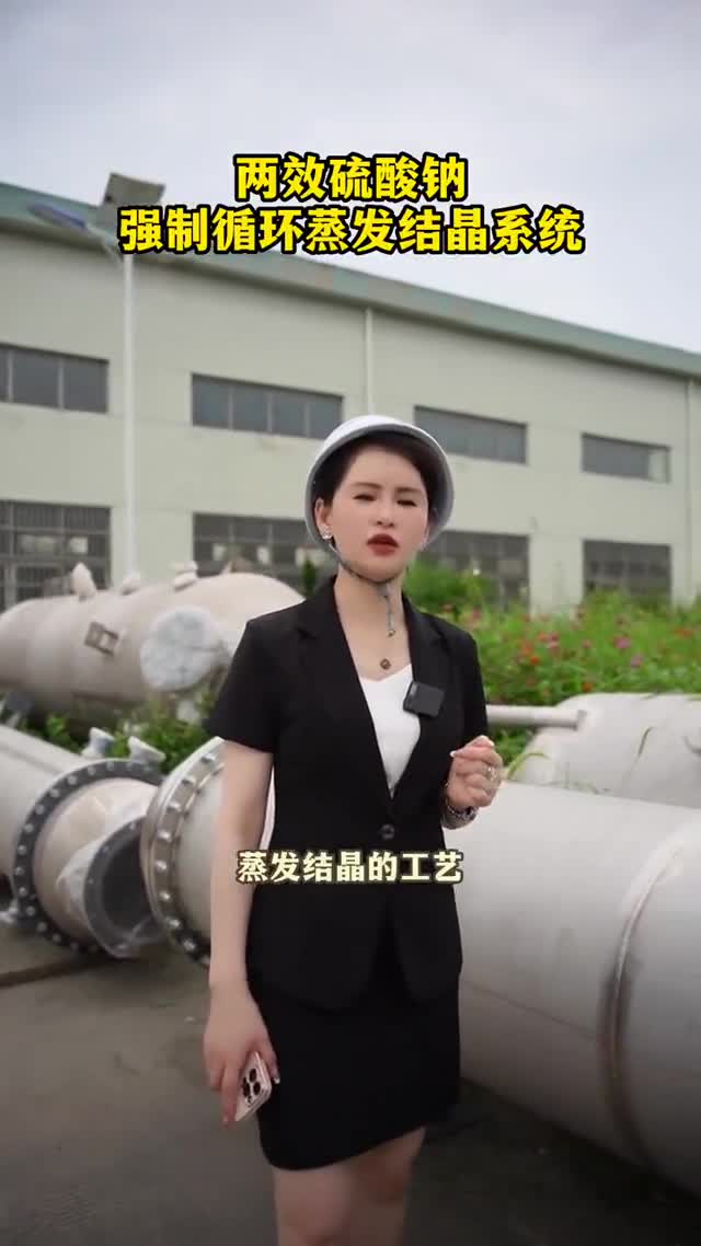 两效硫酸钠强制循环蒸发结晶系统